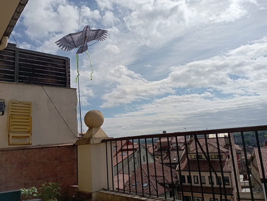 Espantapajaros Halcon Vela